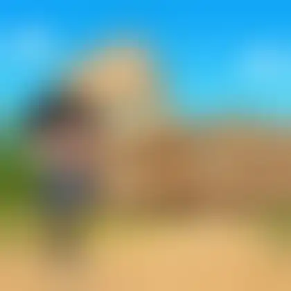 Picture of the word colosseum for children