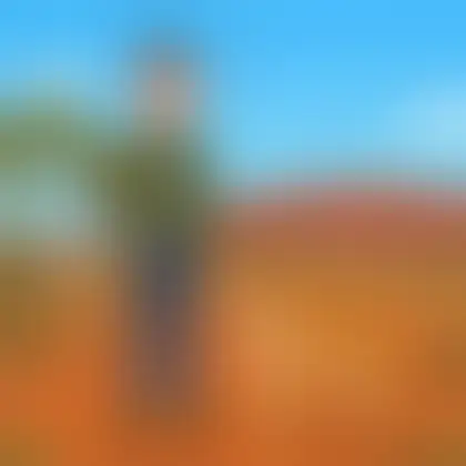 Picture of the word dingo for children