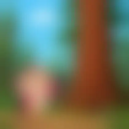 Picture of the word redwood for children