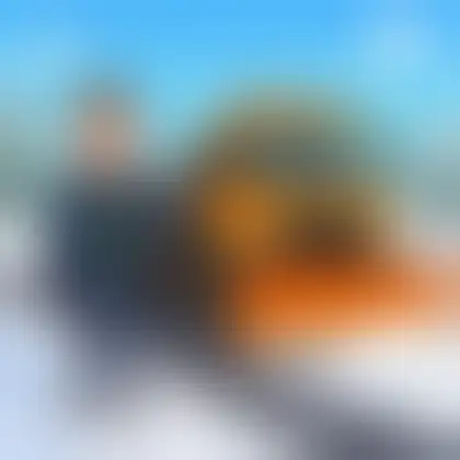 Picture of the word snowplough for children
