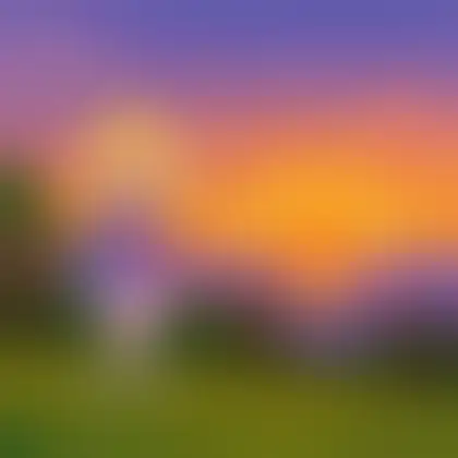 Picture of the word sunset for children