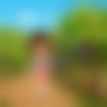 Picture of the word vineyard for children